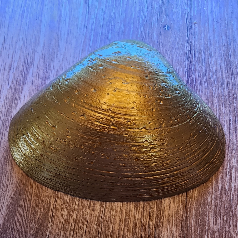 Decoupage Clam Shell - Picture 3 of 7